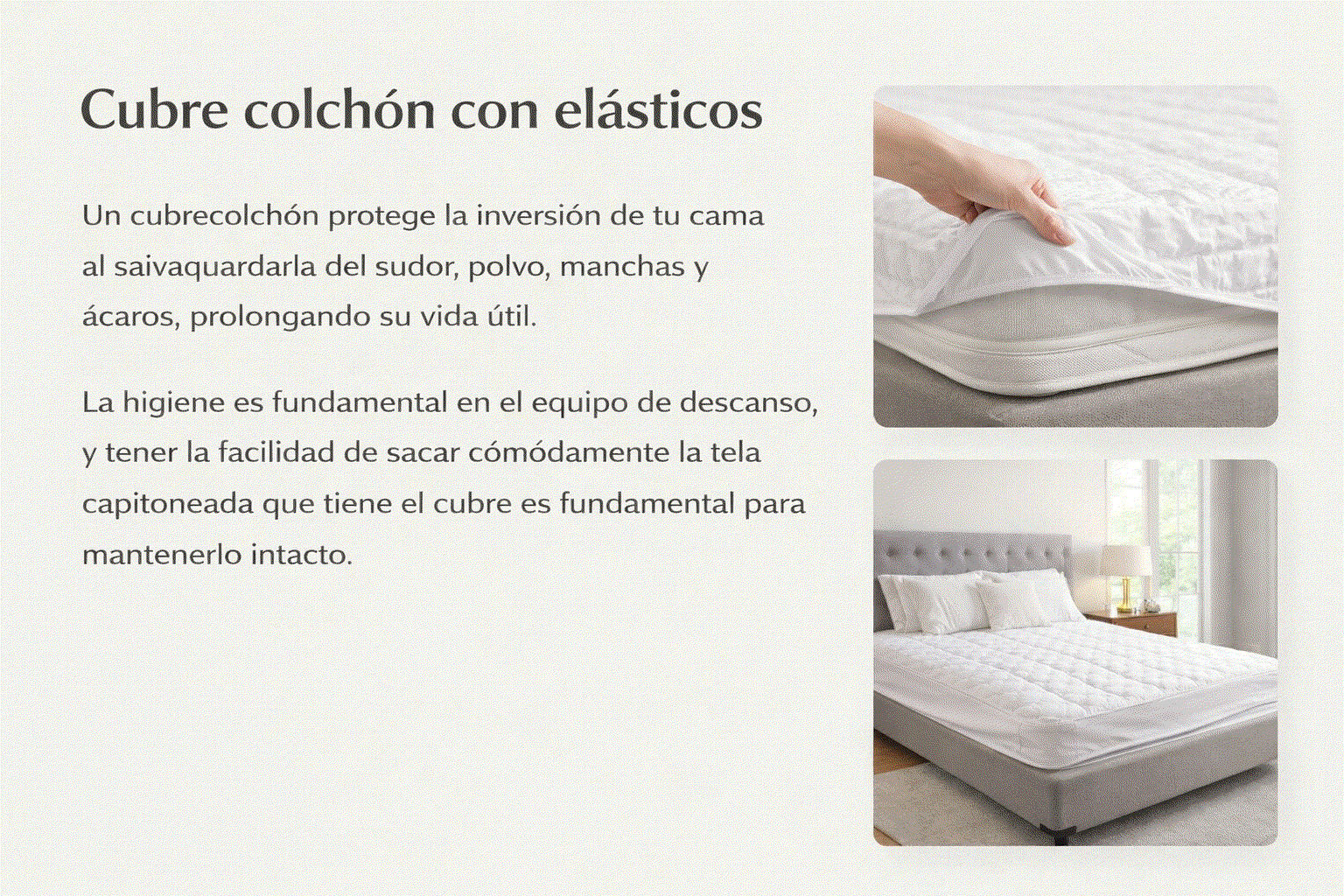 Odoo CMS - una imagen grande