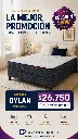 DYLAN COL SHOW.webp