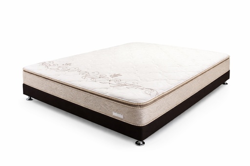 COLCHÓN ESPUMA + SOMMIER GOLD CON PILLOW DENSIDAD 38
